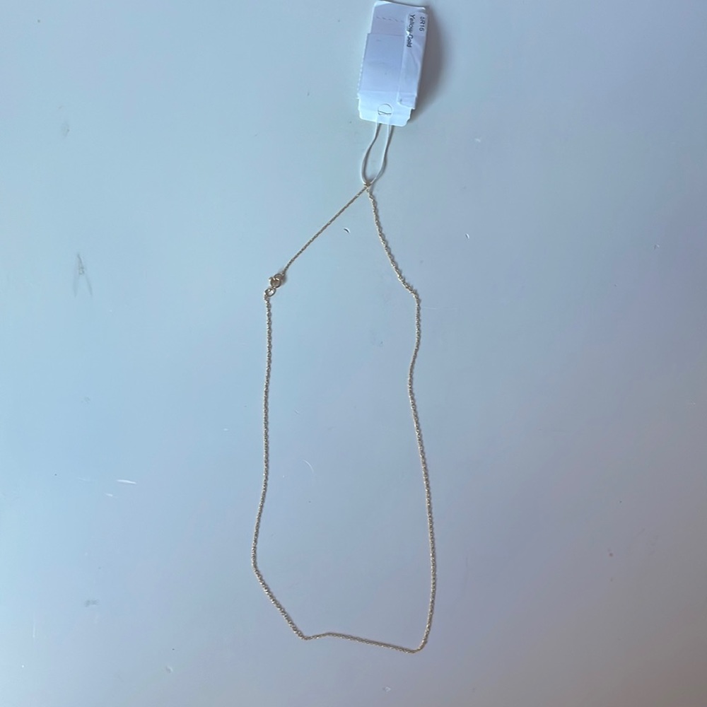 NWT Dainty Gold Chain